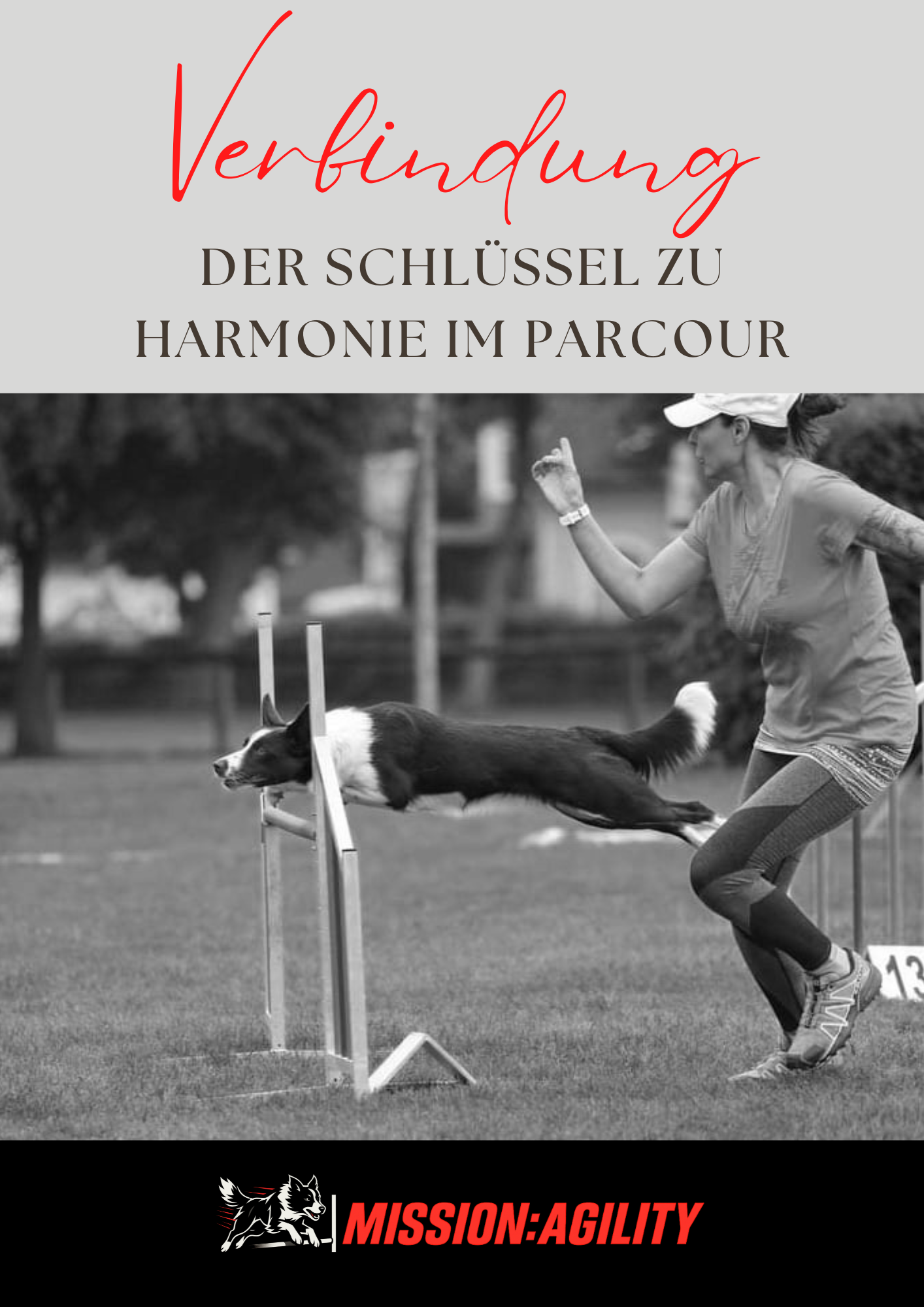 PDFs Mission Agility